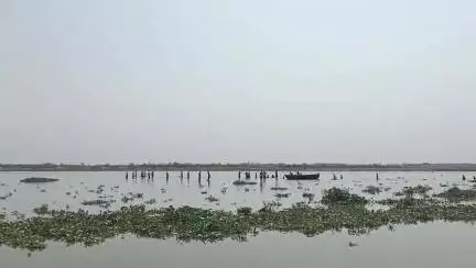 बिल्हौर: कल्लपुरबा मे  गंगा नदी में नहाने के दौरान डूबी बच्ची को बचाने के लिए गए दो लोग भी डूबे, तीनों की हुई मौत
