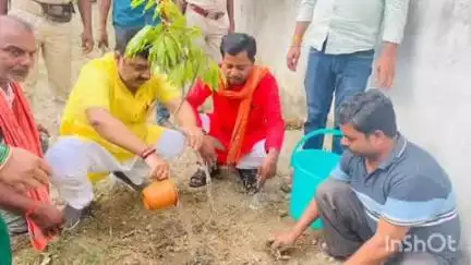 कहरा: पटुवाहा स्थित बीजेपी कार्यालय में विश्व पर्यावरण दिवस पर वृक्षारोपण कार्यक्रम आयोजित, विधायक रहे मौजूद