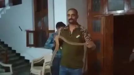 गोपद बनास: सीधी जिले के टिकरी में दुर्लभ प्रजाति का सांप मिला, वन विभाग की टीम ने पकड़ा