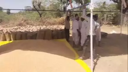 सुमेरपुर: तगतगढ़ गेहूं की खरीद केंद्र पर राज्य व केंद्रीय सरकार की योजना के तहत किसानों को मिल रहा सीधा फायदा