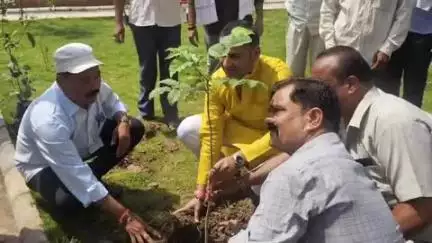 रामपुर बघेलान: विश्व पर्यावरण दिवस पर 'एक पेड़ माँ के नाम' अभियान की शुरुआत