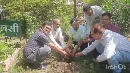 उज्जैन शहर: विश्व पर्यावरण दिवस पर डॉक्टर ने चरक अस्पताल के हर्बल गार्डन में किया पौधारोपण