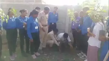 अमरवाड़ा: अमरवाड़ा के अंबुजा सीमेंट फाउंडेशन में विश्व पर्यावरण दिवस पर पौधारोपण कार्यक्रम आयोजित