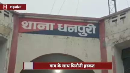 शहडोल जिले में 'गब्बर' ने गायों के साथ किया घिनौना कृत्य