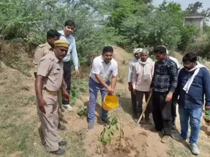 माधौगढ़: जगम्मनपुर गांव के पास पचनदा धाम पर उपजिलाधिकारी, तहसीलदार और पत्रकारों ने किया वृक्ष रोपण