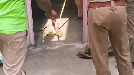 மானாமதுரை: வளநாடு கிராமத்தில்
வீட்டுக்குள் புகுந்த ஐந்து அடி சாரபாம்பால் பொதுமக்கள் அச்சம்