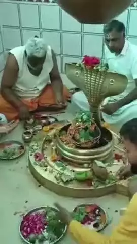 जीरापुर: गंगा दशमी पर माचलपुर के गुप्तेश्वर महादेव मंदिर में सहस्त्रधारा रुद्राभिषेक का आयोजन