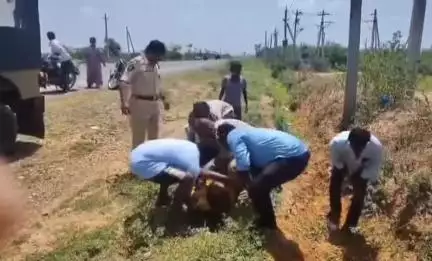 కనిగిరి: చిలకపాడు వద్ద ట్రాక్టర్ బోల్తా పడి వ్యక్తికి తీవ్ర గాయాలు, మానవత్వం చాటుకున్న కనిగిరి డిఎస్పి సాయి ఈశ్వర్ యశ్వంత్