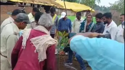 पलारी: वन विभाग एवं पलारी क्षेत्र के तीन ग्राम पंचायतों में पौधा लगाकर मनाया विश्व पर्यावरण दिवस, 'एक पेड़ मां के नाम'