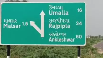 શિનોર: માલસર નર્મદા બ્રિજની બાજુમાં સર્વીસ રોડ પર ઊગી નીકળેલા ગાંડા બાવળના સામ્રાજ્યના કારણે અકસ્માતનું જોખમ # jansamasya