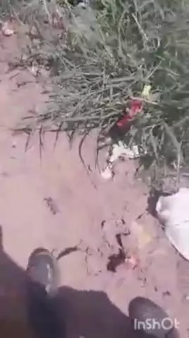 आगरा: रोहता चौराहे पर एक युवक ने नहर में लगाई छलांग, पुलिस ने स्थानीय लोगों की मदद से निकाला बाहर