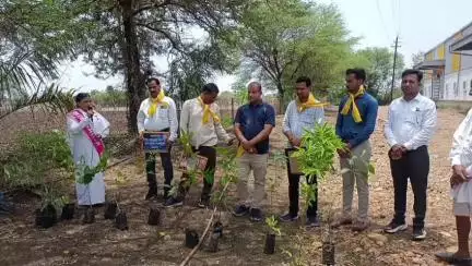 पचोर: विश्व पर्यावरण दिवस पर पचोर ब्रह्माकुमारी सेवा केंद्र की बहनों ने किया पौधारोपण, पर्यावरण बचाने का लिया संकल्प
