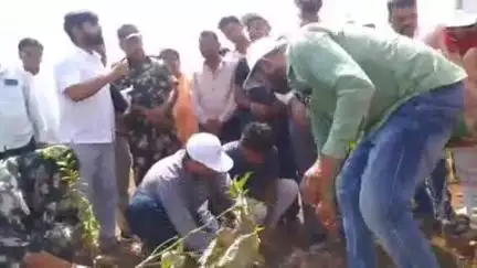 खालवा: रोशनी में विश्व पर्यावरण दिवस पर खंडवा कलेक्टर ने किया पौधारोपण