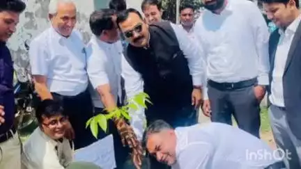 झंझारपुर: झंझारपुर कोर्ट परिसर में विश्व पर्यावरण दिवस पर पौधरोपण किया गया