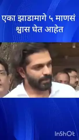मुंबई: एका झाडामागे ५ माणसं श्वास घेत आहेत मनसे नेते अमित ठाकरे