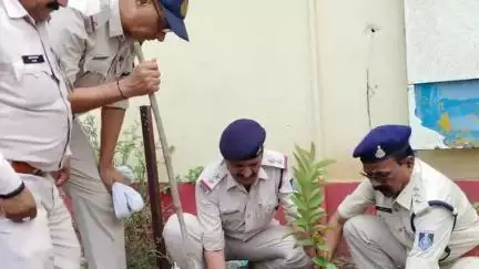 चौरई: विश्व पर्यावरण दिवस पर चौरई थाना प्रांगण में थाना प्रभारी द्वारा पौधारोपण