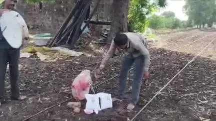 पाचोरा: दुसखेडे येथील शेतकरी नितीन महाजन यांनी दुसखेडा शेतशिवारातील आपल्या शेतात तुरीच्या पिकाची वाजंत्री लावून केली पेरणी,