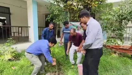 त्रिवेणीगंज: त्रिवेणीगंज अनुमंडल परिसर में पर्यावरण दिवस पर पौधारोपण