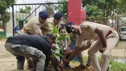 जगदीशपुर: मानवाधिकार संगठन के मीडिया प्रकोष्ठ के प्रदेश अध्यक्ष द्वारा वृक्षारोपण