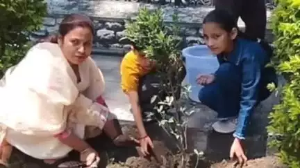 चुराह: चंबा जिले में विश्व पर्यावरण दिवस के अवसर पर 'पेड़ मां के नाम' अभियान का किया गया आगाज़