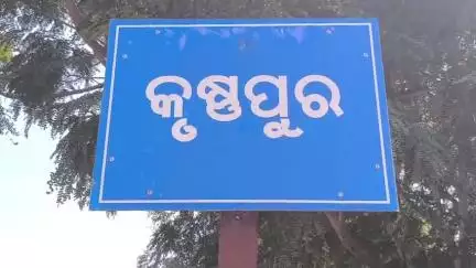 ତେଲକୋଇ: ତେଲକୋଇ ରେଞ୍ଜ କୃଷ୍ଣପୂର ଗାଁରେ ପଲୁଆ ହାତୀଙ୍କ ଉତ୍ପାତ
ଅଞ୍ଚଳରେ ଉୟର ବାତାବରଣ