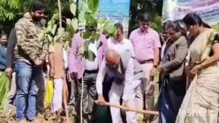 ಚಿಕ್ಕಮಗಳೂರು: ಮರ ಬೆಳೆಸಿ ಪರಿಸರ ಉಳಿಸಲು ಪ್ರತಿಯೊಬ್ಬರೂ ಕೈಜೋಡಿಸಿ:  ನಗರದಲ್ಲಿ ನ್ಯಾಯಾಧೀಶರಾದ ಭಾನುಮತಿ