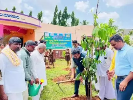ರಾಣೇಬೆನ್ನೂರು: ಮಾಕನೂರು ಗ್ರಾಮದಲ್ಲಿ ಸಾಮೂಹಿಕ ಸಸಿ ನೆಡುವ ಕಾರ್ಯಕ್ರಮಕ್ಕೆ ಶಾಸಕ ಕೋಳಿವಾಡ ಚಾಲನೆ