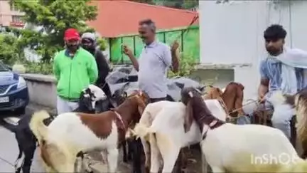 नैनीताल: बकरीद पर्व को लेकर कालाढूंगी से बकरे बेचने नैनीताल पहुंचे लोग