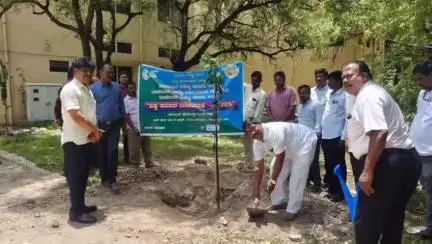ಬಳ್ಳಾರಿ: ನಗರದ ಜಿ.ಪಂ ಆವರಣದಲ್ಲಿ ವಿಶ್ವ ಪರಿಸರ ದಿನಾಚರಣೆ
