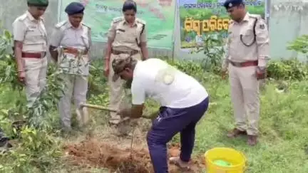 କୋଟପାଡ: ସ୍ଥାନୀୟ ନିର୍ବାଚନ ମଣ୍ଡଳୀର ବିଭିନ୍ନ ସ୍ଥାନରେ ବିଶ୍ଵ ପରିବେଶ ଦିବସ ପାଳିତ