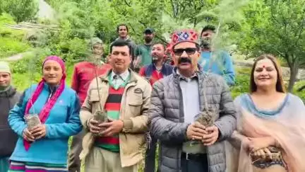 मनाली: पूर्व मंत्री गोविंद ठाकुर ने विश्व पर्यावरण दिवस के अवसर पर कन्याल में 'एक पेड़ मां के नाम' अभियान के तहत किया पौधारोपण