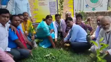 बथनाहा: विश्व पर्यावरण दिवस पर प्रखंड मुख्यालय परिसर में किया गया पौधारोपण