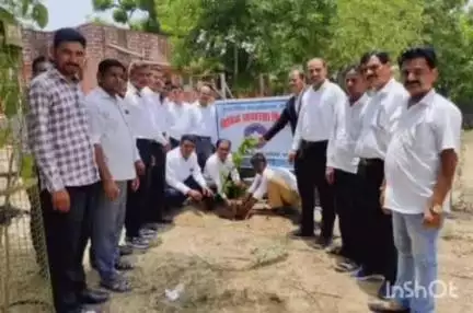 बाली: बाली कोर्ट में विश्व पर्यावरण दिवस पर विशेष पहल, न्यायाधीश और अधिवक्ताओं ने किया पौधारोपण