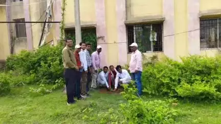 कलियासोल: विश्व पर्यावरण दिवस पर कलिया सोल प्रखंड में प्रखंड विकास पदाधिकारी ने किया पौधारोपण