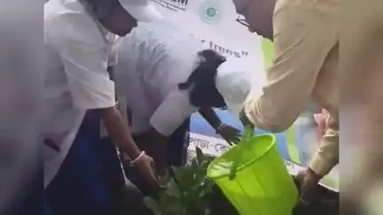 চণ্ডীতলা ২: হুগলির উত্তরপাড়ায় বিশ্ব পরিবেশ দিবসে DAY-NULM, AMRUT-র সহযোগিতায় বিভিন্ন পুকুরের পাশে গাছের চারা রোপণ কার্যক্রম