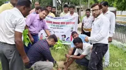 चौथम: चौथम प्रखंड कार्यालय में पौधारोपण का आयोजन किया गया