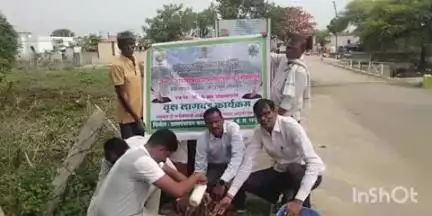 कोरपना: जिल्हा स्मार्ट ग्राम कळमना येथे पर्यावरण दिनानिमित्त वृक्षारोपण