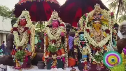 திண்டுக்கல் கிழக்கு: அப்பிநாயக்கன்பட்டி வைகாசி உற்சவ விழா  வான வேடிக்கைகள் முழங்க ஏராளமான பெண்கள் முளைப்பாறியுடன் அம்மன் கரகம் பூஞ்சோலை சென்றடைந்தது