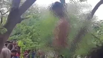 महावन: थाना महावन के खप्पर पर पुलिस चौकी के समीप नीम के पेड़ पर लटका मिला युवक का शव, अपनी ही शर्ट से था बंधा