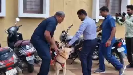 కలెక్టరేట్‌లో మాదకద్రవ్యాల నిర్మూలనపై ప్రత్యేక డ్రైవ్