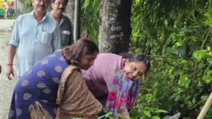 জয়নগর ১: জয়নগর এক নম্বর পঞ্চায়েত সমিতির সভাপতি ঋতুপর্ণা বিশ্বাস বিশ্ব পরিবেশ দিবস উপলক্ষে রোপন করলেন চারাগাছ