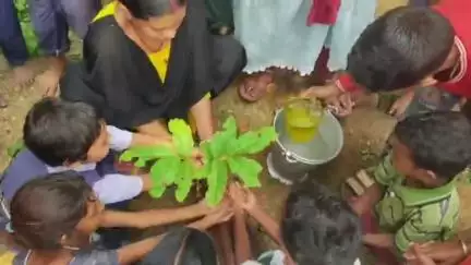 বলরামপুর: সাপুয়া প্রাথমিক বিদ্যালয় এবং গেঁড়ুয়া  পঞ্চায়েত কার্যালয়ে গাছ লাগিয়ে পরিবেশ দিবস উদযাপন জল জীবন মিশন কর্তৃপক্ষের
