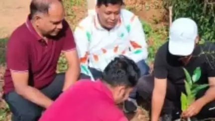 गुनौर: जिला पंचायत सीईओ पन्ना द्वारा ग्राम पंचायत बिलखुरा, लक्ष्मीपुर, जमुनहाई में वृक्षारोपण किया गया