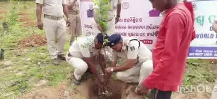 ମାଲକାନଗିରି: ବିଶ୍ୱ ପରିବେଶ ଦିବସ ଉପଲକ୍ଷେ ବନ ବିଭାଗ ,ଅବକାରୀ ବିଭାଗ ଓ ଜିଲ୍ଲା ଆଇନ ସେବା ପ୍ରାଧିକରଣ ପକ୍ଷରୁ ବଣ୍ଡିକିଗୁଡାରେ ବୃକ୍ଷ ରୋପଣ