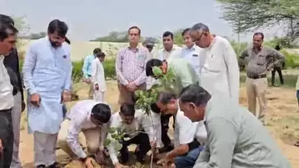 तारानगर: तारानगर में विश्व पर्यावरण दिवस के अवसर पर एसडीएम, भाजपा नेता राकेश जांगिड़, वन विभाग व अन्य अधिकारियों ने किया पौधारोपण