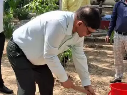 बीसलपुर: विश्व पर्यावरण दिवस पर डीएम ने नवग्रह वाटिका में पेड़ लगाकर पर्यावरण संरक्षण का दिया संदेश
