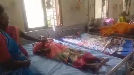 मुर्तीजापूर: मुर्तीजापुर ते कारंजा रस्त्यावर रानडुकराचा हल्ला एक महिला गंभीर जखमी.