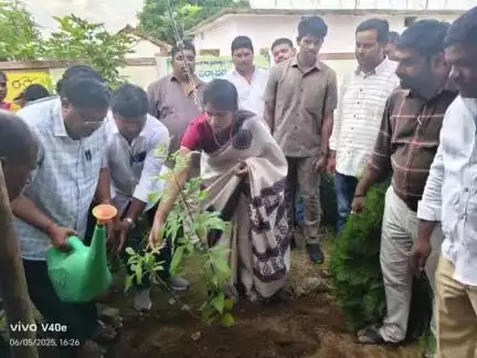 సంగారెడ్డి: పర్యావరణ పరిరక్షణకు, వర్షాలు సమృద్ధిగా పడడానికి మొక్కలు నాటడం తప్పనిసరి : సంగారెడ్డి జిల్లా కలెక్టర్ వల్లూరి క్రాంతి