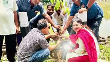 চাপড়া: চাপড়ায় তৃণমূল কংগ্রেসের উদ্যোগে বৃক্ষরোপণ কর্মসূচি