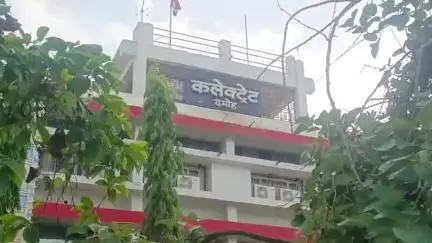 दमोह: जिले के 4 उपार्जन केंद्रों में तुअर की फसल का उपार्जन कार्य शुरू, ई-उपार्जन पोर्टल से स्टॉल बुक करें
